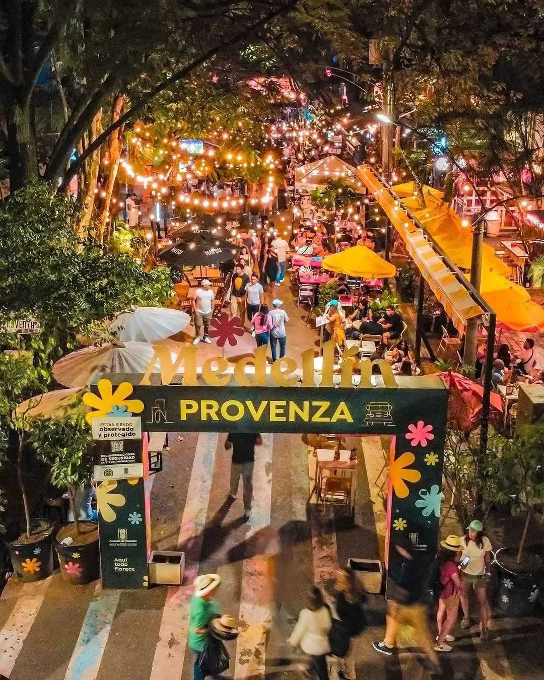 Noche en Provenza